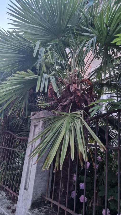 Apartman Roses Zagrzeb Zewnętrze zdjęcie